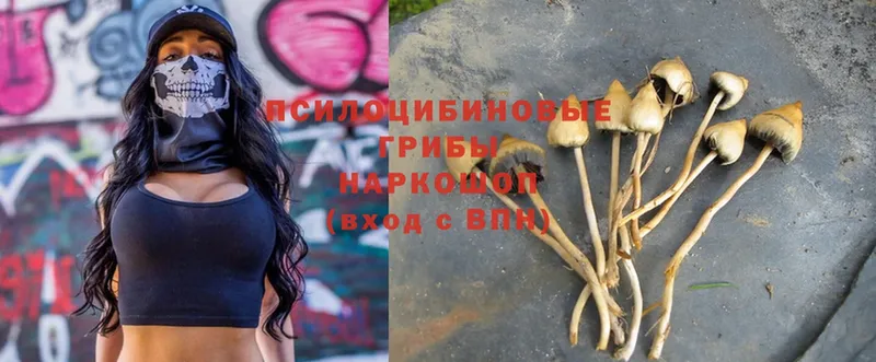 Псилоцибиновые грибы MAGIC MUSHROOMS  Белорецк 